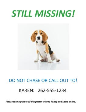 Sample Lost Dog Homemade Flyer - Still Missing